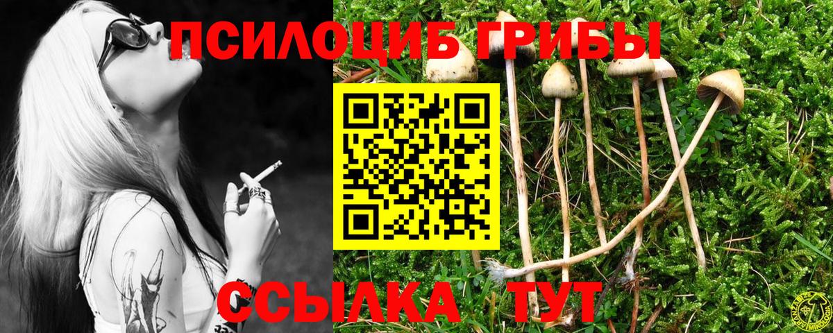 Галлюциногенные грибы мухоморы  Псилоцибиновые грибы мухоморы  Вход с VPN  Нововоронеж 