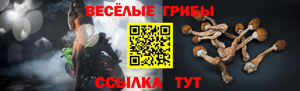Галлюциногенные грибы MAGIC MUSHROOMS Нововоронеж